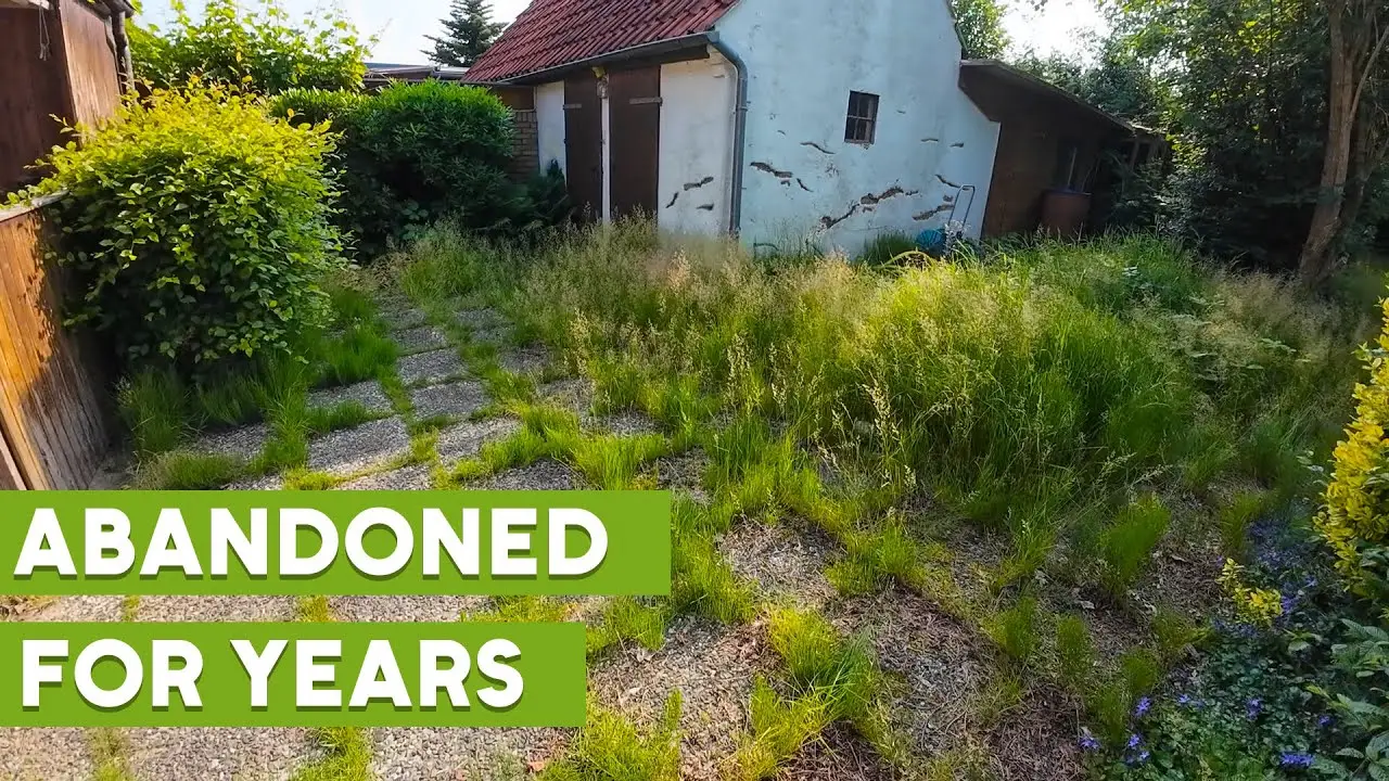 Vorher-Nachher: komplett zugewachsener Garten nach der Verwandlung